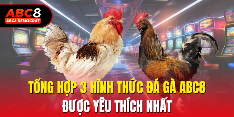 Tổng hợp 3 hình thức đá gà Abc8 được yêu thích nhất